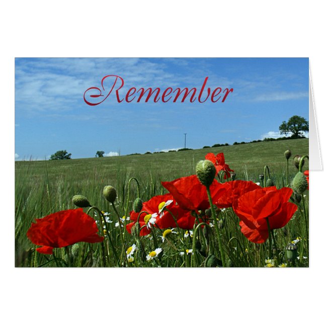 記憶日のケシ分野 (正面横)