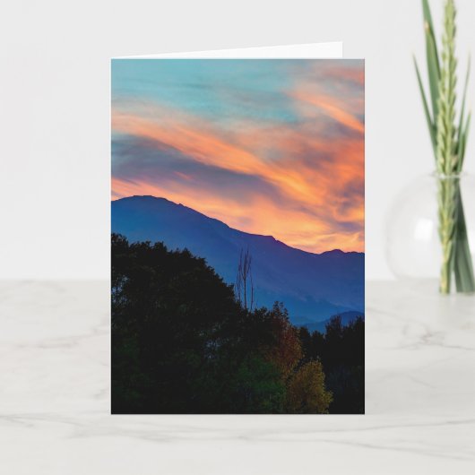 記憶 カード (正面)