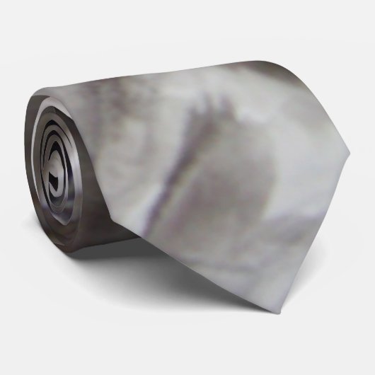 記憶 ネクタイ (ロール)