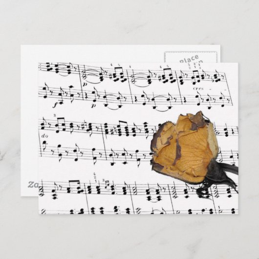 記憶 ポストカード (正面/裏面)