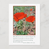 記憶 ポストカード (正面)