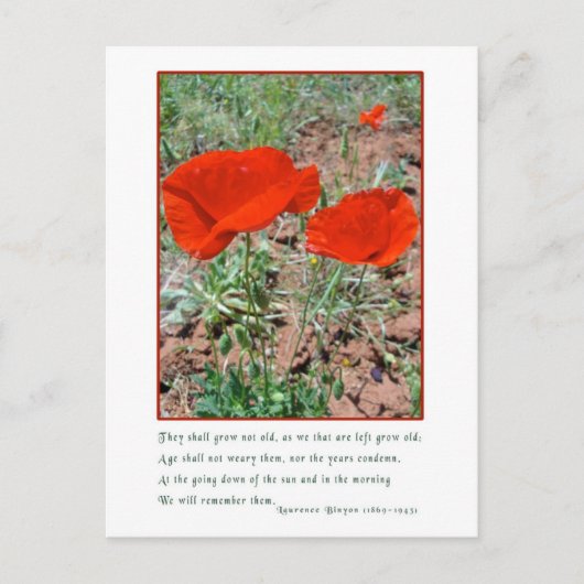 記憶 ポストカード (正面)