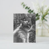 記憶 ポストカード (スタンド正面)