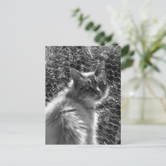 記憶 ポストカード (スタンド正面)