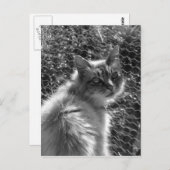 記憶 ポストカード (正面/裏面)