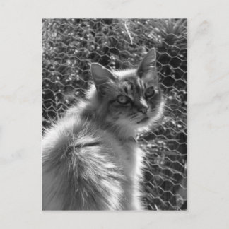 記憶 ポストカード