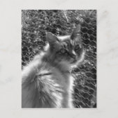 記憶 ポストカード (正面)