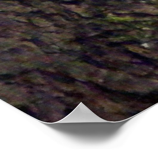 訪問者 ポスター (角)