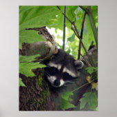 訪問者 ポスター (正面)