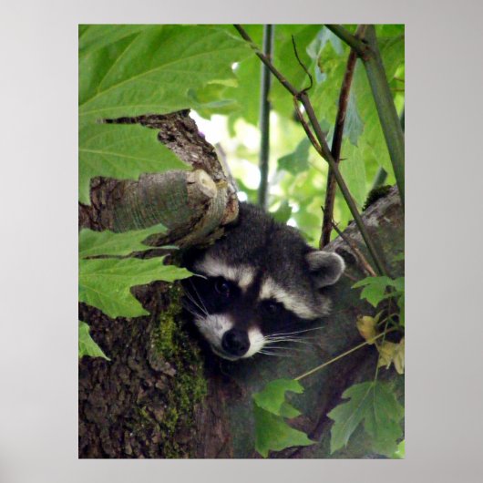 訪問者 ポスター (正面)