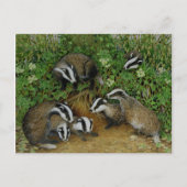 設定 ポストカード (正面)