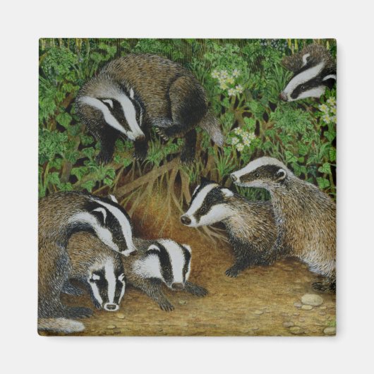 設定 マグネット (正面)