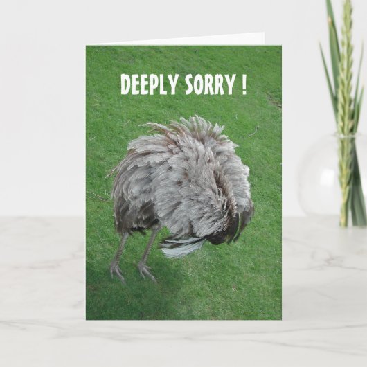 許して！ カード (正面)