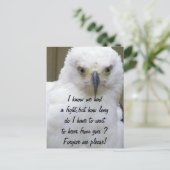 許して_ ポストカード (スタンド正面)