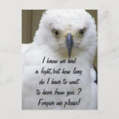 許して_ ポストカード (正面)