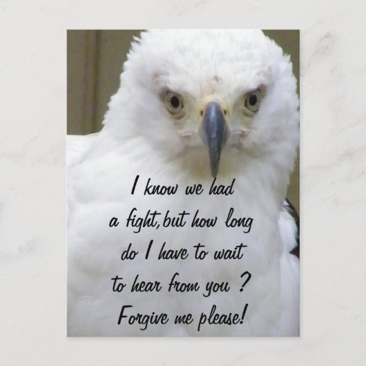 許して_ ポストカード (正面)