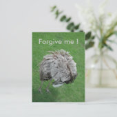 許して！ ポストカード (スタンド正面)