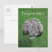 許して！ ポストカード (正面/裏面)