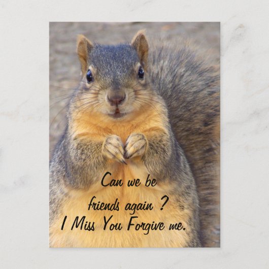 許して_ ポストカード (正面)