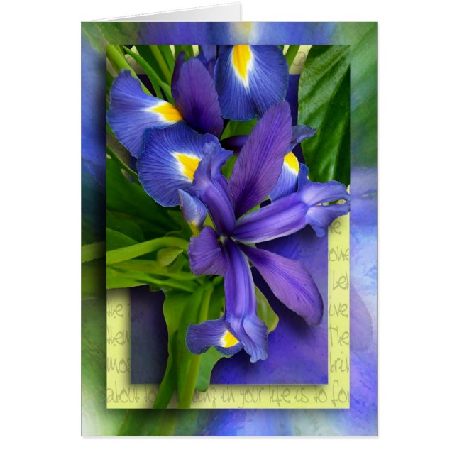 許しへのステップ (正面)