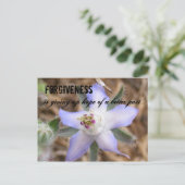 許し与えてbの望み… ポストカード (スタンド正面)