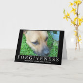 許す カード (黄色い花)