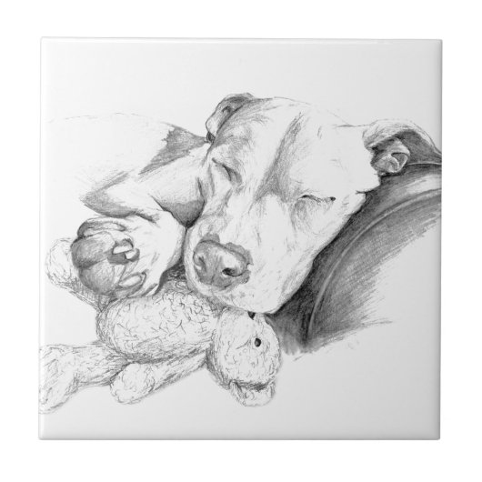 許可された睡眠犬のうそ タイル (正面)