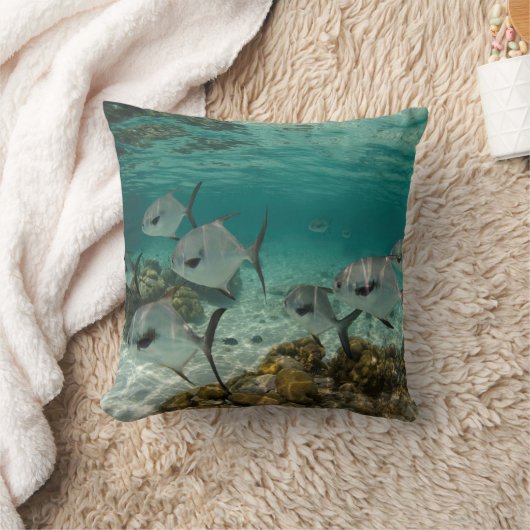 許可魚学校 クッション (ブランケット)