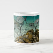 許可魚学校 ジャンボコーヒーマグカップ (正面)