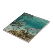 許可魚学校 タイル (側面)