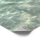 許可魚学校 ポスター (角)