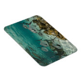 許可魚学校 マグネット (右側)