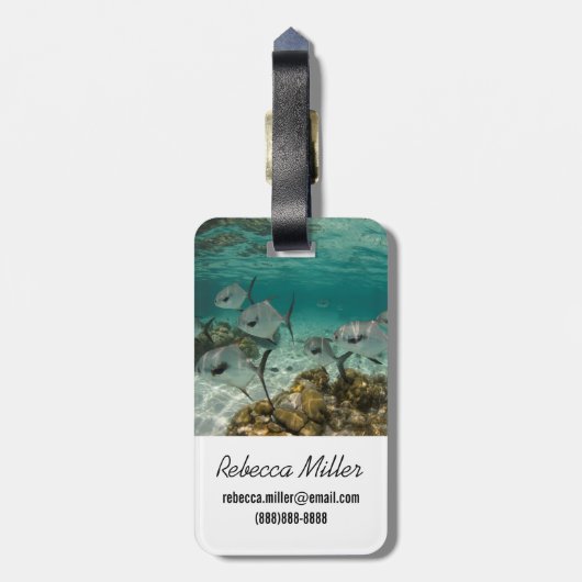 許可魚学校 ラゲッジタグ (裏面縦)