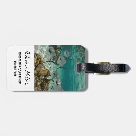 許可魚学校 ラゲッジタグ (裏面横)