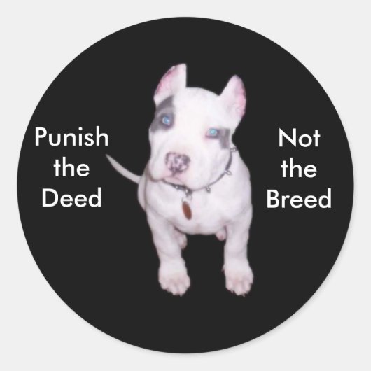 証文/ブリードシール ラウンドシール (正面)