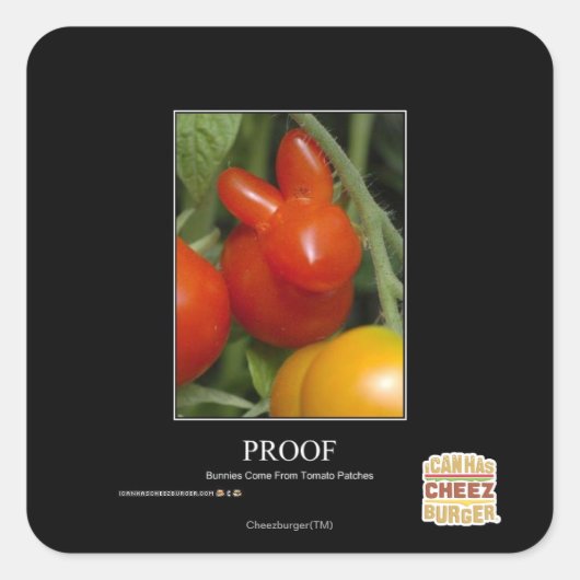 証明 スクエアシール (正面)