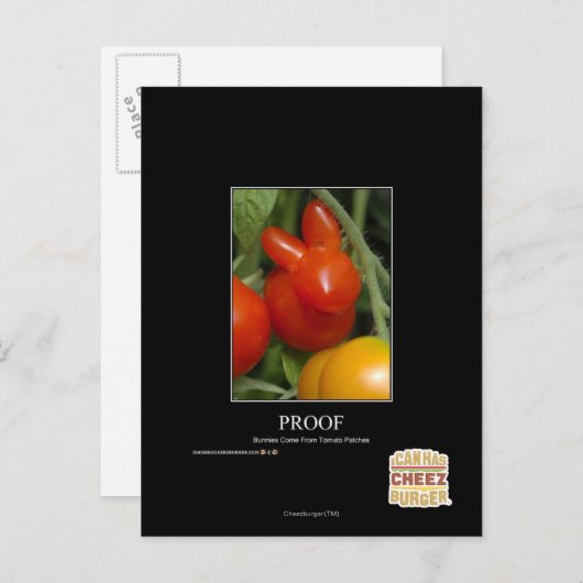 証明 ポストカード (正面/裏面)