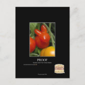 証明 ポストカード (正面)