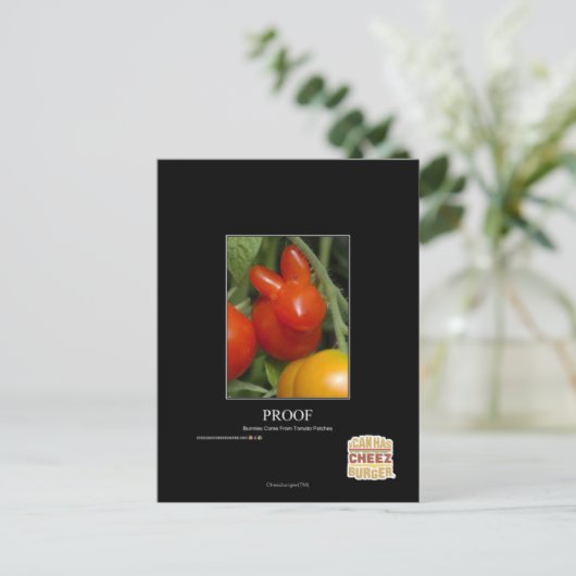 証明 ポストカード (スタンド正面)