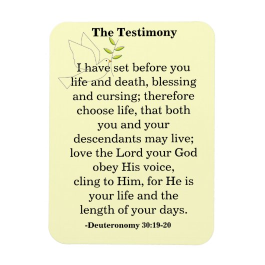 証言聖なる書物、 経典 マグネット (縦)