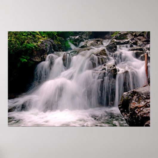 詐欺の秋を下げる ポスター (正面)