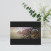 詐欺パスビュー ポストカード (スタンド正面)