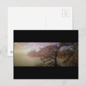 詐欺パスビュー ポストカード (正面/裏面)