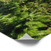 詐欺パス ポスター (角)