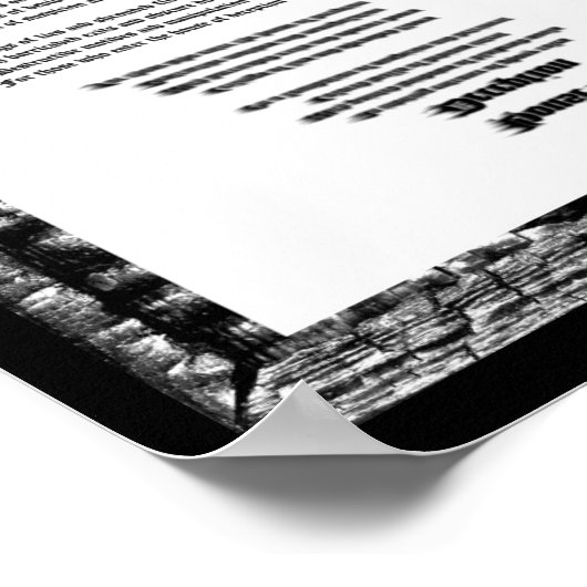 詐欺師の家 ポスター (角)