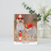 詐欺師 ポストカード (スタンド正面)