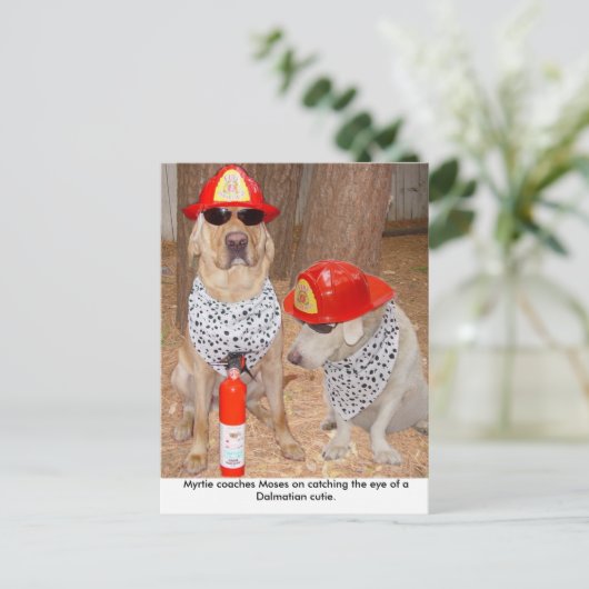 詐欺師 ポストカード (スタンド正面)