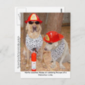 詐欺師 ポストカード (正面/裏面)