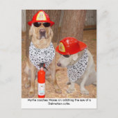 詐欺師 ポストカード (正面)