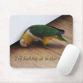 試みの見ること マウスパッド (マウス)